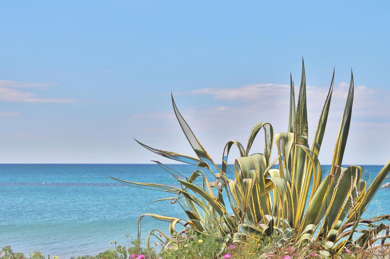 Holiday Home Arzilli Follonica Luaran gambar